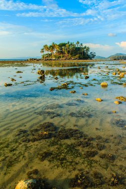 Rock plaj ve deniz suyu mavi gökyüzü ve bulutlu gün arka plan gerilemiştir zaman ağaç ile yalnız uzak ada