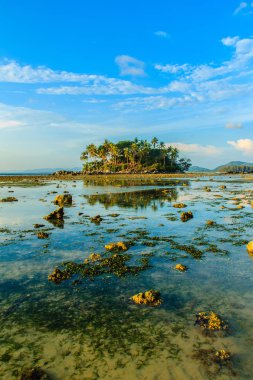 Rock plaj ve deniz suyu mavi gökyüzü ve bulutlu gün arka plan gerilemiştir zaman ağaç ile yalnız uzak ada