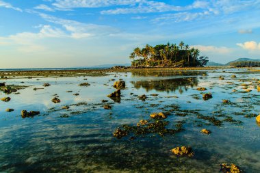Rock plaj ve deniz suyu mavi gökyüzü ve bulutlu gün arka plan gerilemiştir zaman ağaç ile yalnız uzak ada