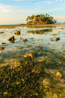 Rock plaj ve deniz suyu mavi gökyüzü ve bulutlu gün arka plan gerilemiştir zaman ağaç ile yalnız uzak ada