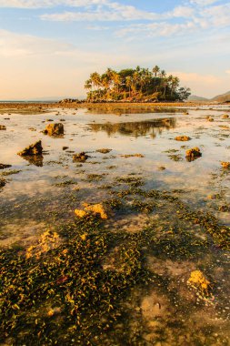 Rock plaj ve deniz suyu mavi gökyüzü ve bulutlu gün arka plan gerilemiştir zaman ağaç ile yalnız uzak ada