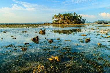 Rock plaj ve deniz suyu mavi gökyüzü ve bulutlu gün arka plan gerilemiştir zaman ağaç ile yalnız uzak ada