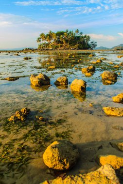 Rock plaj ve deniz suyu mavi gökyüzü ve bulutlu gün arka plan gerilemiştir zaman ağaç ile yalnız uzak ada