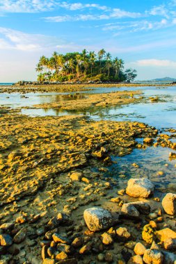 Rock plaj ve deniz suyu mavi gökyüzü ve bulutlu gün arka plan gerilemiştir zaman ağaç ile yalnız uzak ada