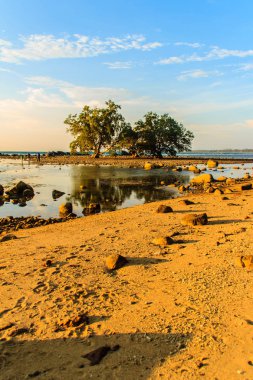 Rock plaj ve deniz suyu mavi gökyüzü ve bulutlu gün arka plan gerilemiştir zaman ağaç ile yalnız uzak ada