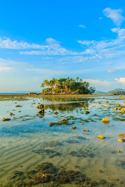 Ilha Remota Solitária Com Praia Rocha Árvore Quando Água Mar — Fotografia de Stock