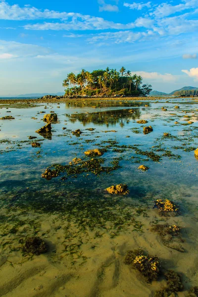 Samotna Wyspa Zdalnego Skały Plaża Drzewa Gdy Morze Woda Cofnęła — Zdjęcie stockowe