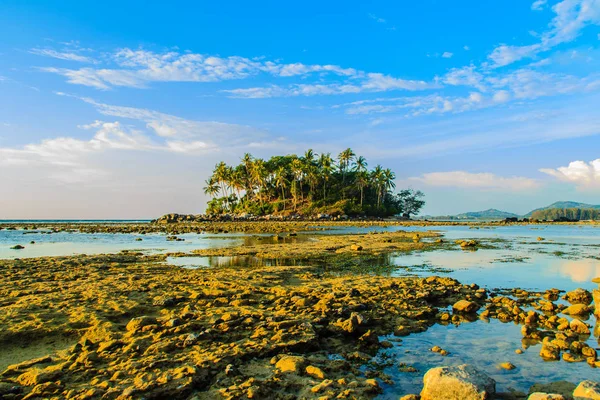 Lonely remote island with rock beach and tree when the sea water receded in blue sky and cloudy day background