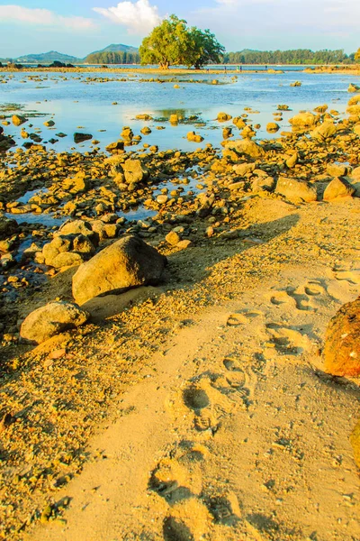 Eenzame Afgelegen Eiland Met Rots Strand Boom Als Het Zeewater — Stockfoto