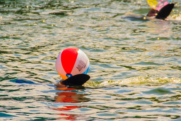 Dauphin Mignon Joue Ballon Danse Spectacles Dans Piscine — Photo