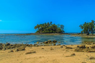 Rock plaj ve deniz suyu mavi gökyüzü ve bulutlu gün arka plan gerilemiştir zaman ağaç ile yalnız uzak ada