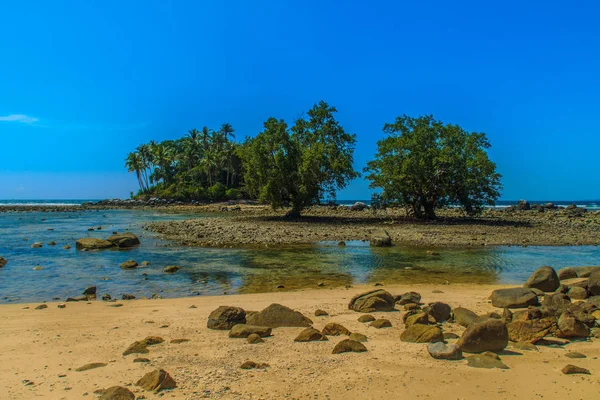 Samotna Wyspa Zdalnego Skały Plaża Drzewa Gdy Morze Woda Cofnęła — Zdjęcie stockowe