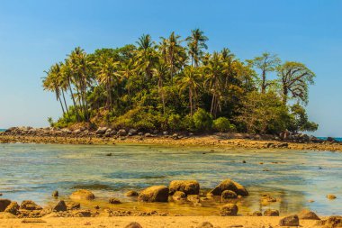Rock plaj ve deniz suyu mavi gökyüzü ve bulutlu gün arka plan gerilemiştir zaman ağaç ile yalnız uzak ada