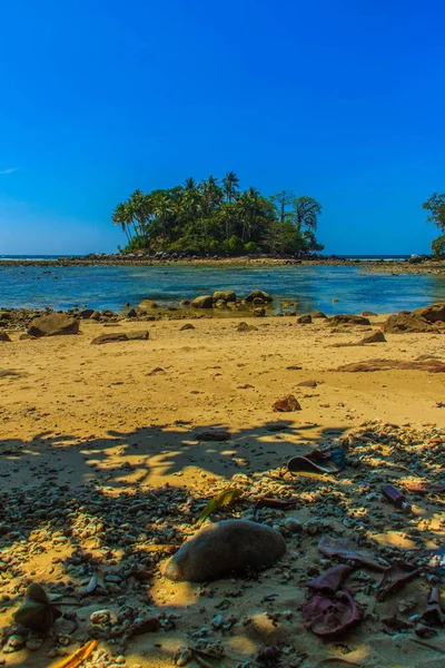 Samotna Wyspa Zdalnego Skały Plaża Drzewa Gdy Morze Woda Cofnęła — Zdjęcie stockowe