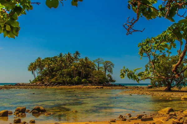 Самотній Віддалений Острів Кам Яним Пляжем Деревом Коли Морська Вода — стокове фото