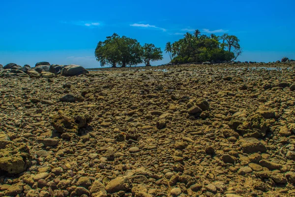 Lonely remote island with rock beach and tree when the sea water receded in blue sky and cloudy day background