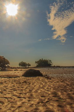 Deniz suyu çekildi sonra plaja kum üzerinde egzotik ve güzel dalga şekli.