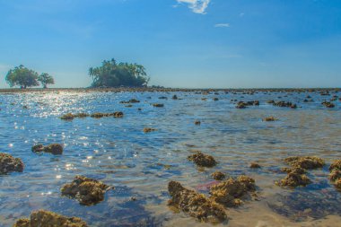 Rock plaj ve deniz suyu mavi gökyüzü ve bulutlu gün arka plan gerilemiştir zaman ağaç ile yalnız uzak ada