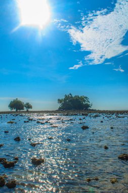 Rock plaj ve deniz suyu mavi gökyüzü ve bulutlu gün arka plan gerilemiştir zaman ağaç ile yalnız uzak ada