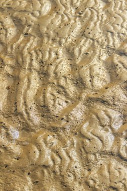 Deniz suyu çekildi sonra plaja kum üzerinde egzotik ve güzel dalga şekli.