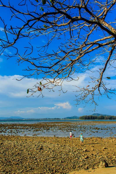 Prachtige rots stenen op het strand als het zeewater wi verdween — Stockfoto