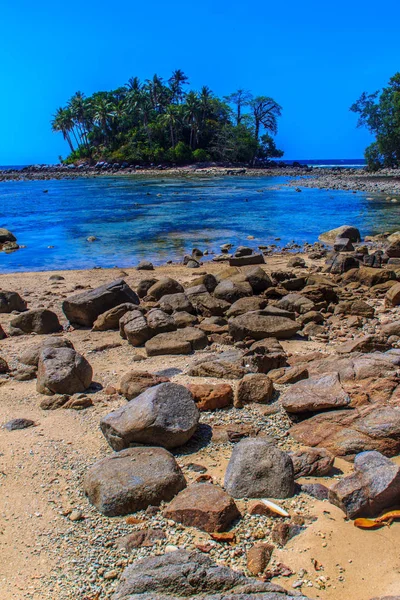 Samotna Wyspa Zdalnego Skały Plaża Drzewa Gdy Morze Woda Cofnęła — Zdjęcie stockowe