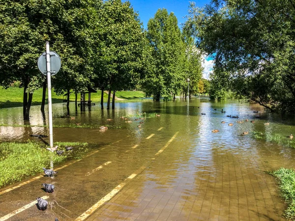 Översvämning i Brateevo, Moskva — Stockfoto