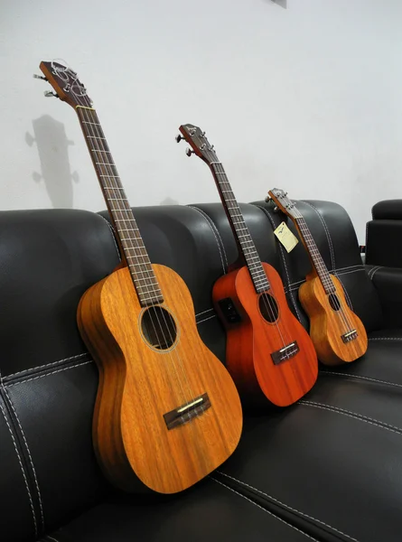 My best ukulele collections — Stock Photo, Image