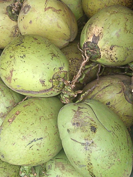 绿色的椰子，健康的水果 — 图库照片