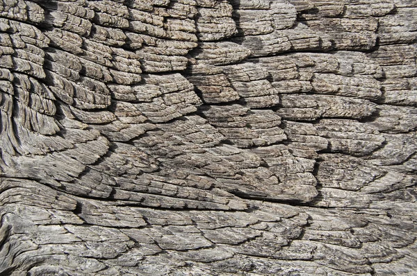 Trä textur, trä bakgrund. Vintage trä bakgrund. — Stockfoto