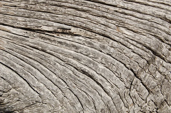 Textura de madeira, fundo de madeira. fundo de madeira vintage . — Fotografia de Stock