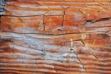 Ahşap doku. Vintage tasarım ahşap arka plan yıpranmış