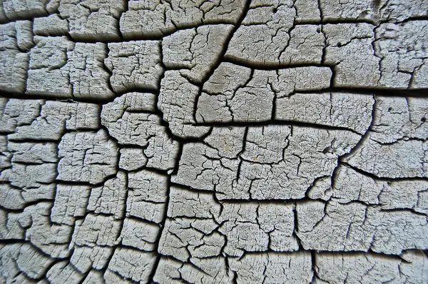 Тріщини деревини фон — стокове фото
