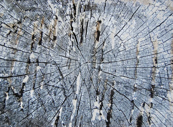 Textura de madera pintada vintage. Fondo horizontal azul oscuro de madera — Foto de Stock