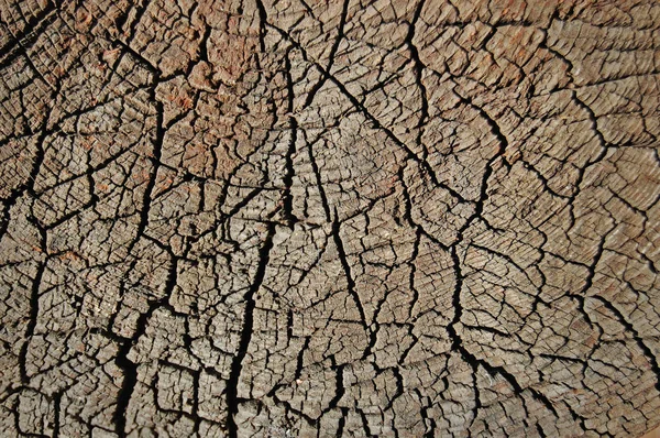 Textura de madera envejecida vintage para el diseño. Fondo oscuro horizontal de madera — Foto de Stock