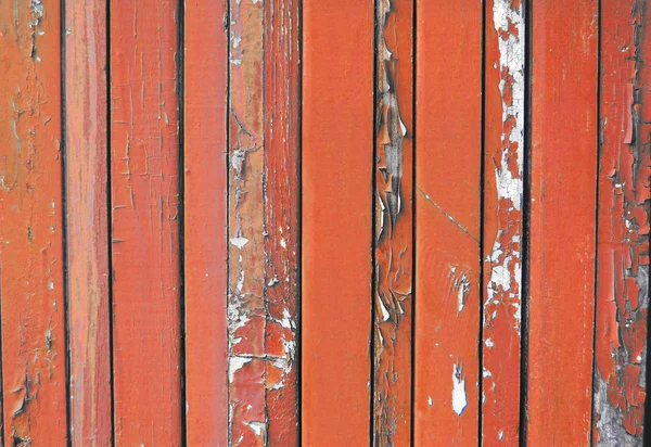 Coral, cerca de madera vieja naranja. fondo de madera empalizada. tablones textura — Foto de Stock