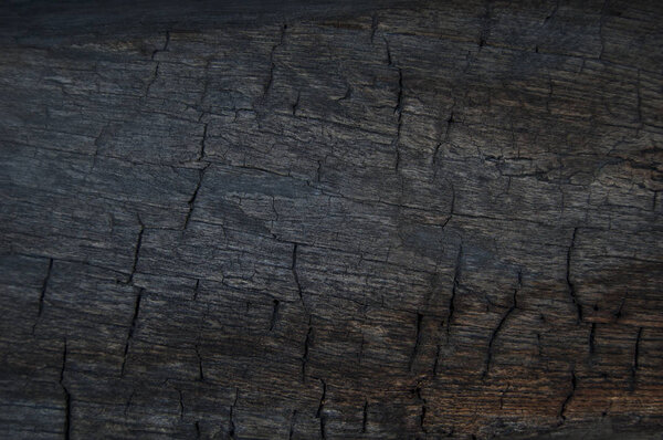 Деревянная текстура. Фон из выветренной древесины для дизайна
