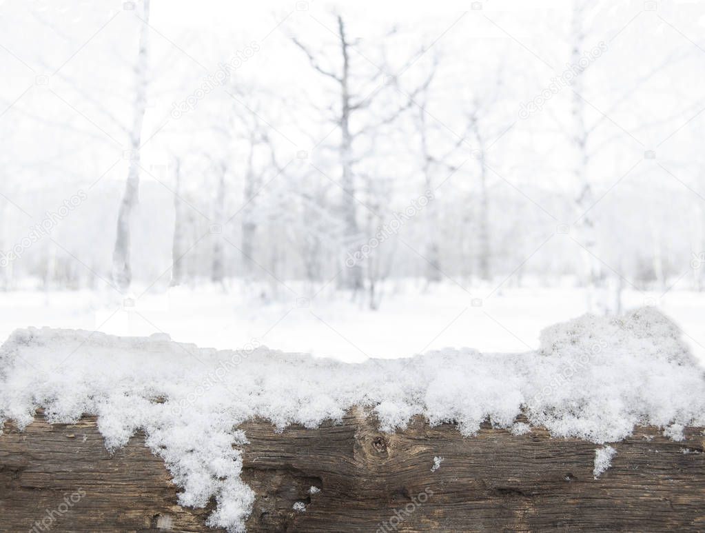 Blurred winter forest background in snow. Old wooden plank on the foreground