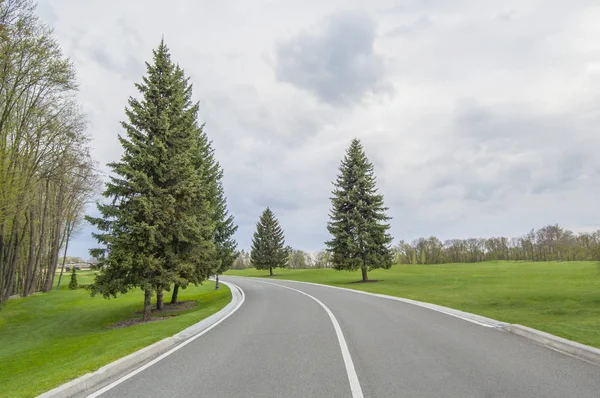 Long asphalt road. Forest, lawn and grey sky, landscape background. Spring or summer.