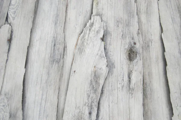 White Old Wooden Fence Wood Palisade Background Planks Texture — Stock Photo, Image
