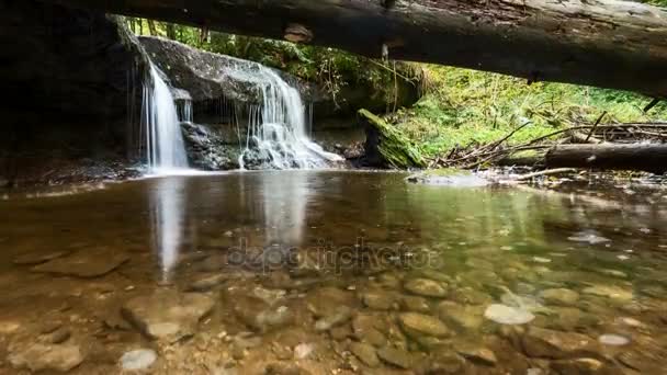 Wasserfall im Wald im Zeitraffer — 비디오