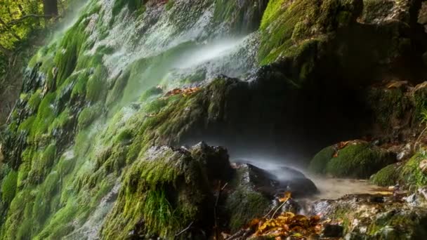 Timelapse Vízesés Bad Urach Németország — Stock videók