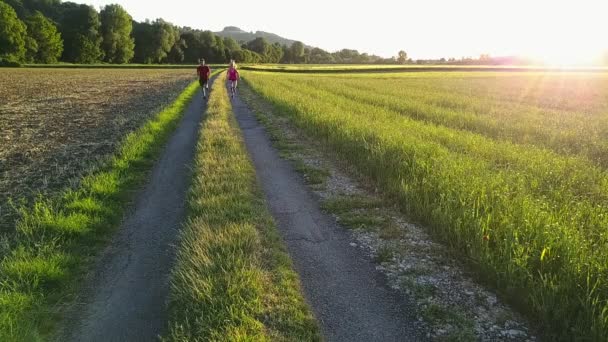 Jogger in een luchtfoto schot — Stockvideo