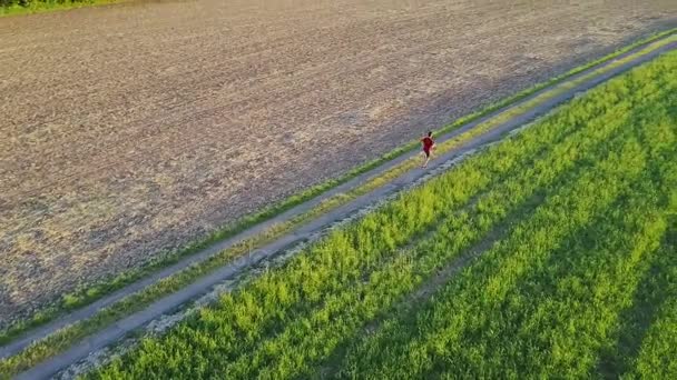 Jogger in an aerial shot — Stock Video