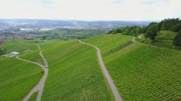 Stuttgart yakınındaki bir bağ üzerinden hava uçuş — Stok video