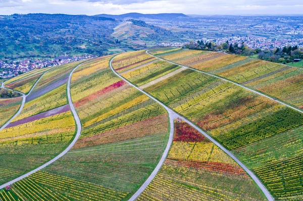 Vista Aérea Das Vinhas Alemanha Outono Imagem De Stock