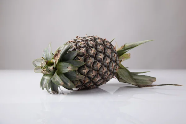 Groene ananas fruit — Stockfoto