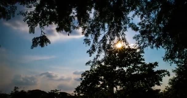 Hiper lapso de tiempo plano del cielo de la noche — Vídeos de Stock