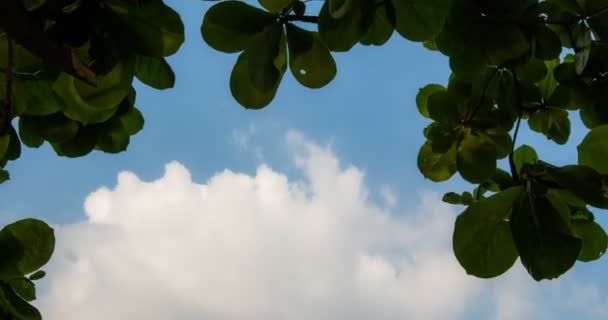 Time lapse shot of  clouds — Stock Video