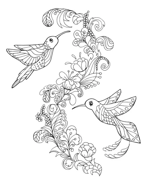 Hummingbird coloring book — Stock Vector